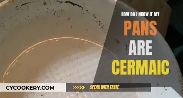 Identifying Ceramic Pans: A Quick Guide to Knowing Yours