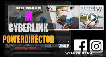 Pan and Zoom in Cyberlink PowerDirector: A Step-by-Step Guide