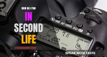 Exploring Second Life: Panning Techniques for Beginners