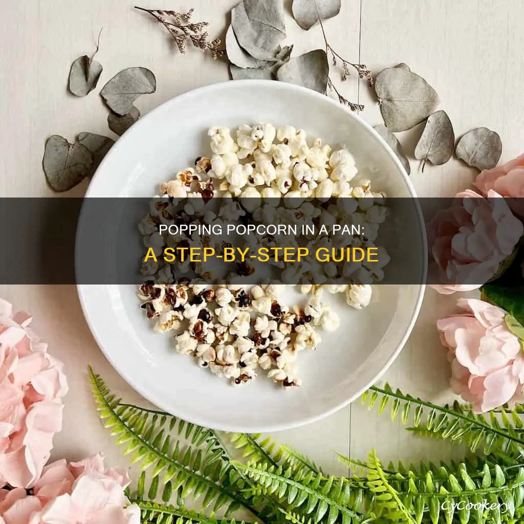 how do I pop popcorn in a pan