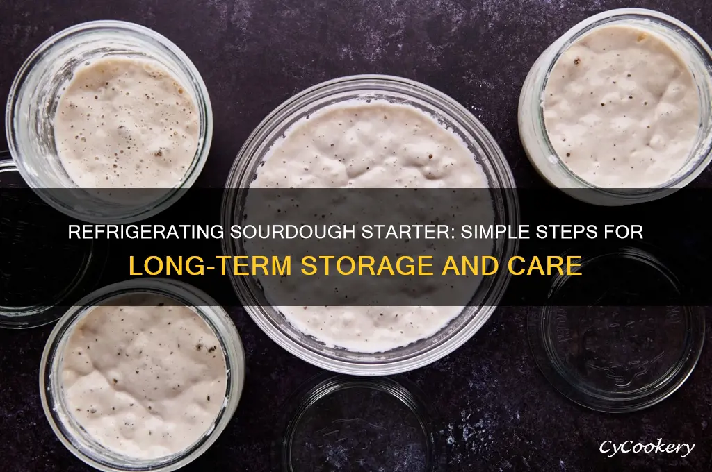 how do i refrigerate my sourdough starter