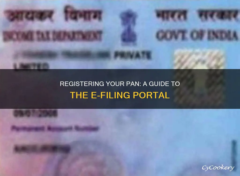 how do I register my pan in efiling portal
