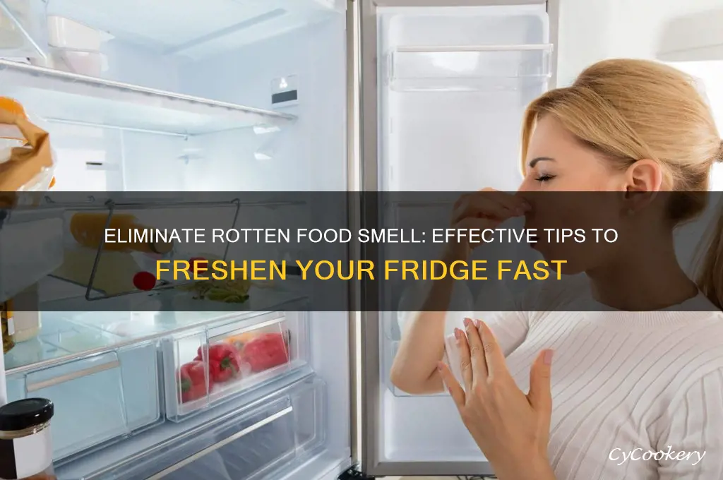 how do i remove rotten food smell from refrigerator