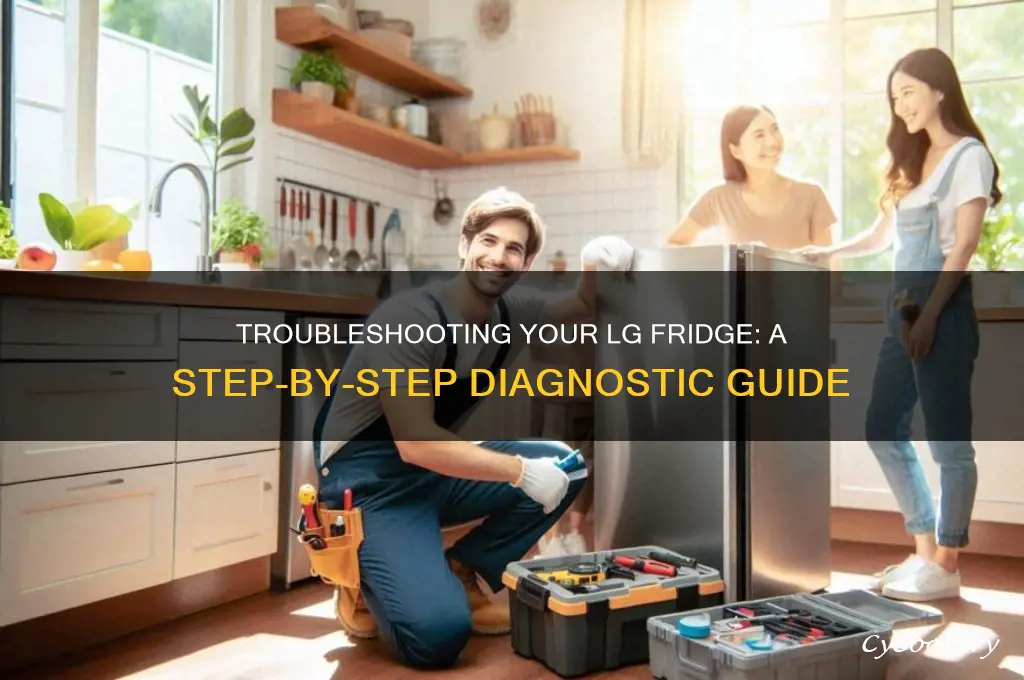 how do i run diagnostics on my lg refrigerator