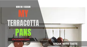 Terracotta Pans: Seasoning Secrets for Perfect Cooking