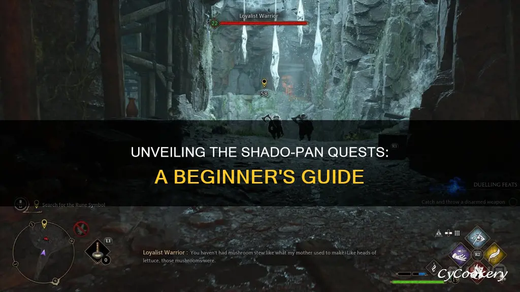 how do I start shado pan quests