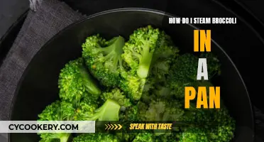 Steaming Broccoli: A Quick, Easy, and Healthy Pan Method