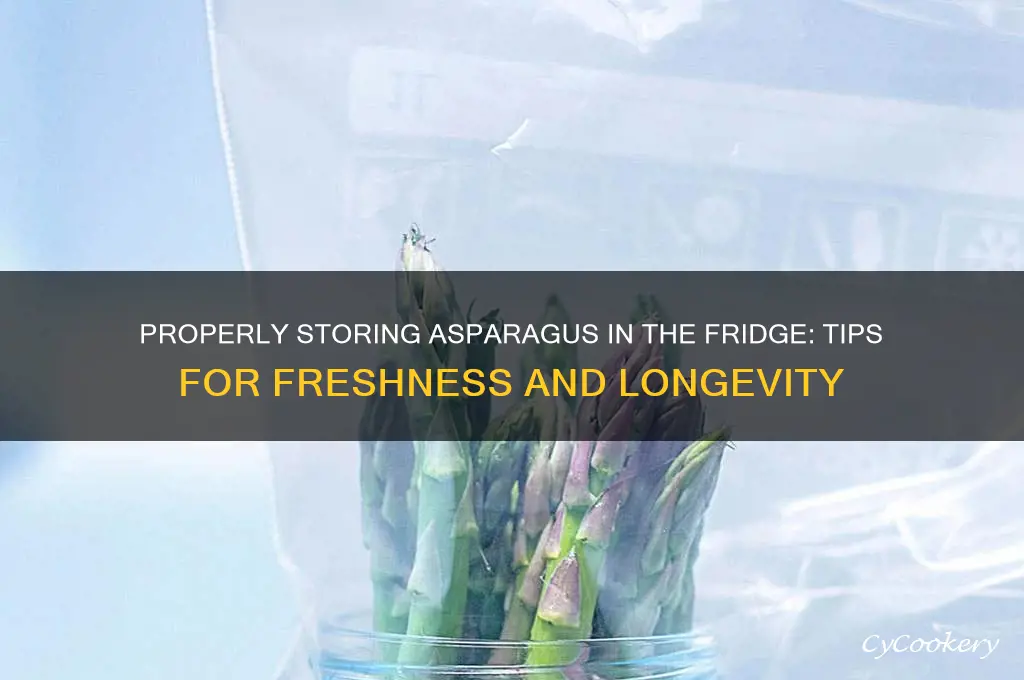 how do i store asparagus in the refrigerator