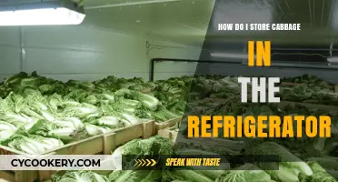 Proper Cabbage Storage: Tips for Keeping It Fresh in Your Fridge