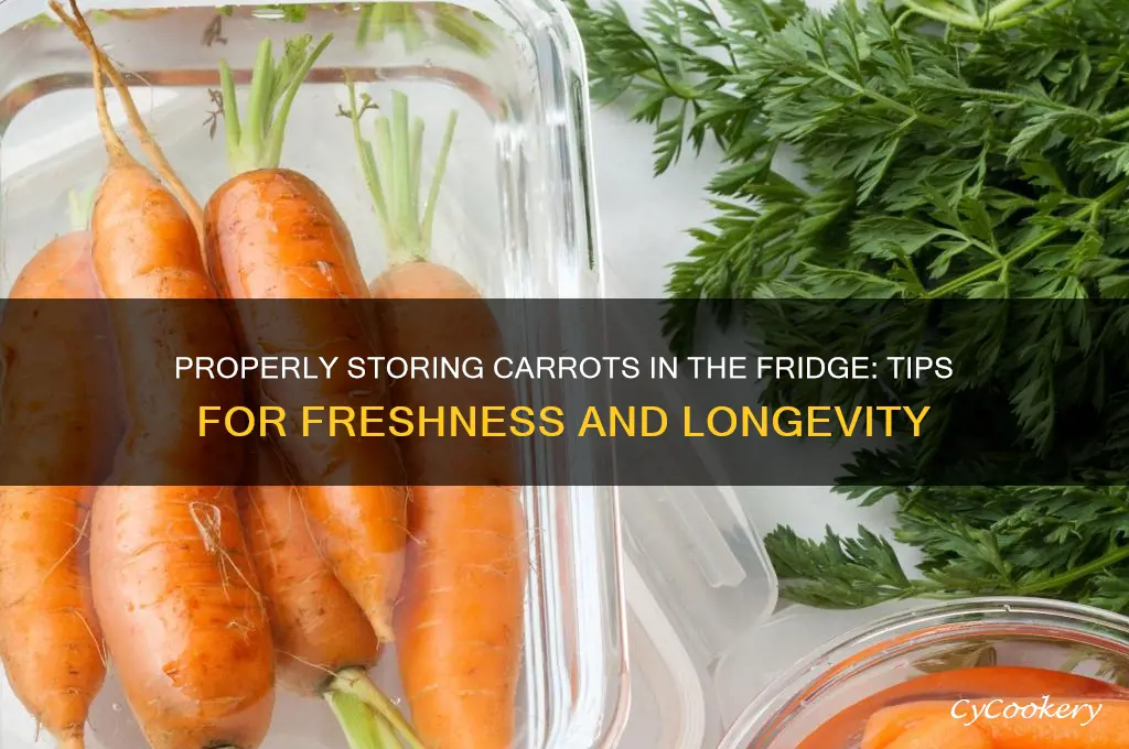 how do i store carrots in the refrigerator