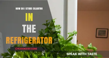 Fresh Cilantro Storage Tips: Keep It Green in Your Fridge