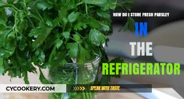Easy Tips to Keep Fresh Parsley Crisp in Your Fridge