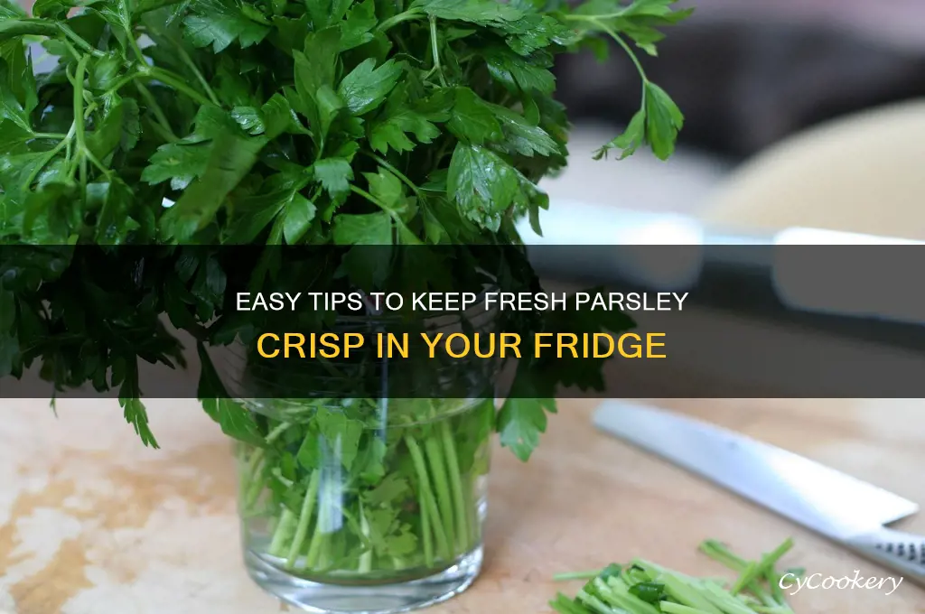 how do i store fresh parsley in the refrigerator