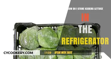 Fresh & Crisp: Best Ways to Store Iceberg Lettuce in Your Fridge