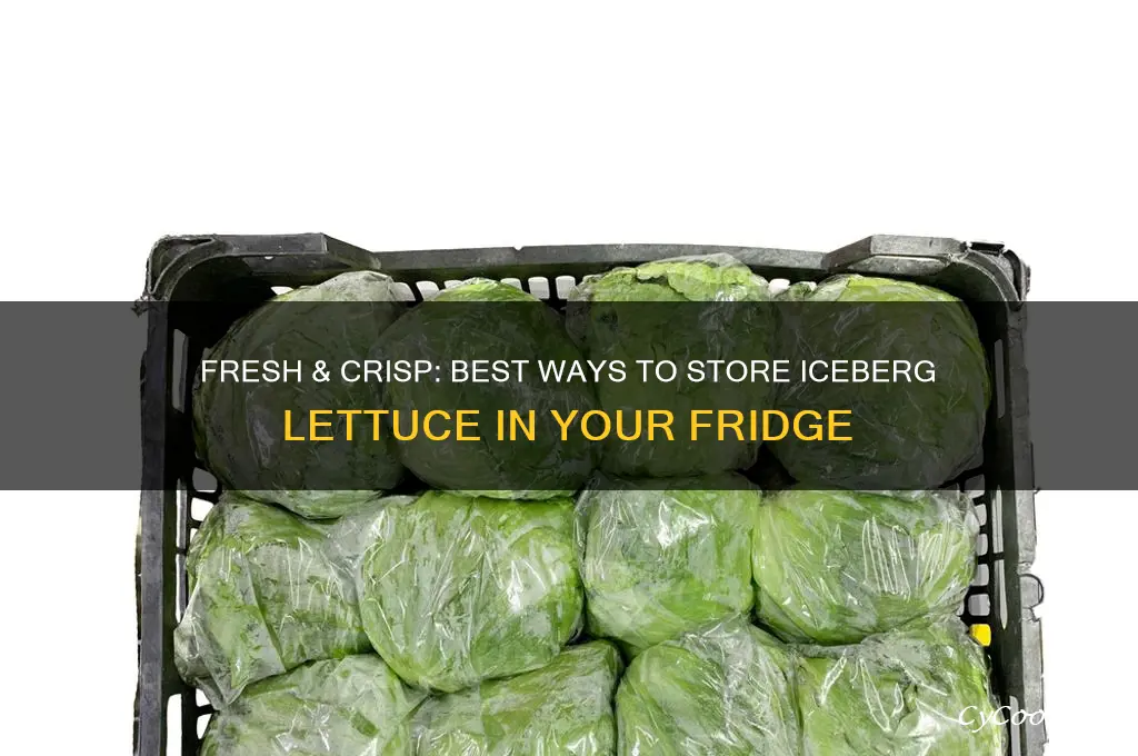 how do i store iceberg lettuce in the refrigerator