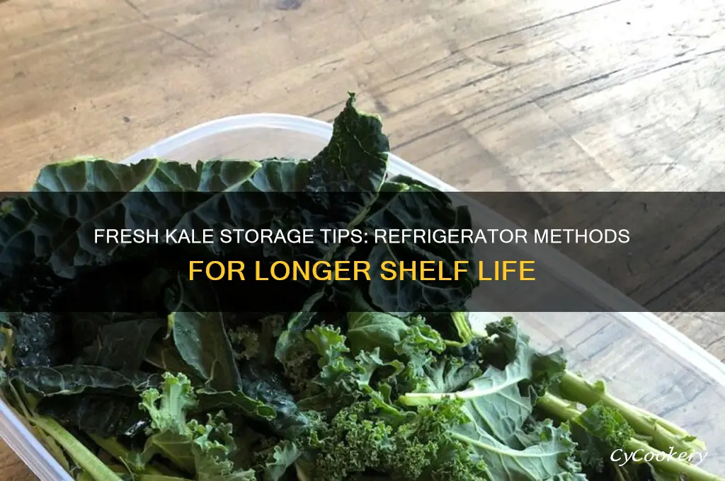 how do i store kale in the refrigerator