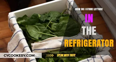 Keep Lettuce Fresh: Best Refrigerator Storage Tips for Crispness