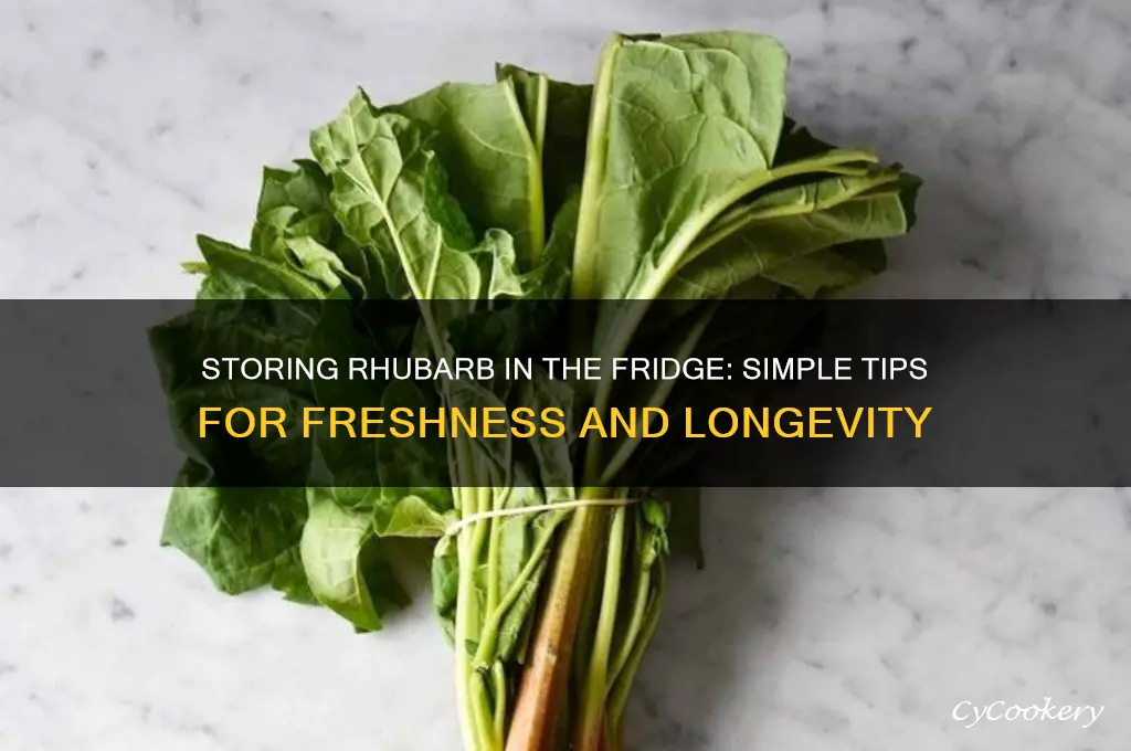 how do i store rhubarb in the refrigerator