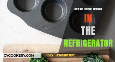 Best Ways to Store Spinach Fresh in Your Fridge