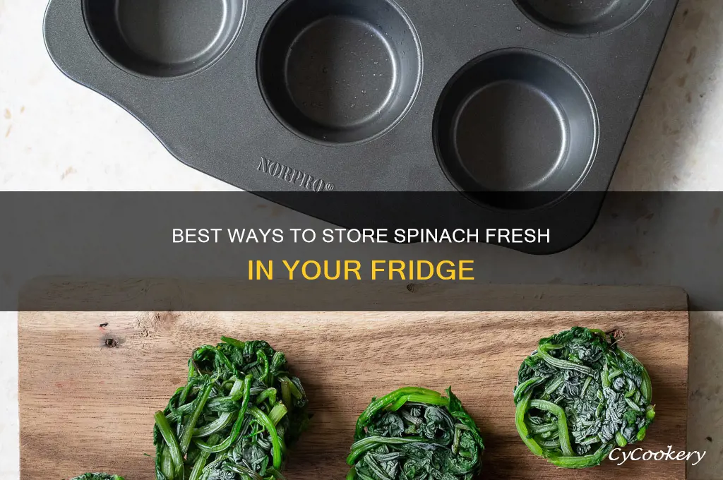 how do i store spinach in the refrigerator