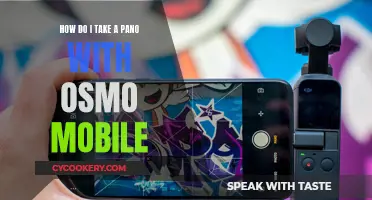 Mastering Panoramic Shots with Your Osmo Mobile