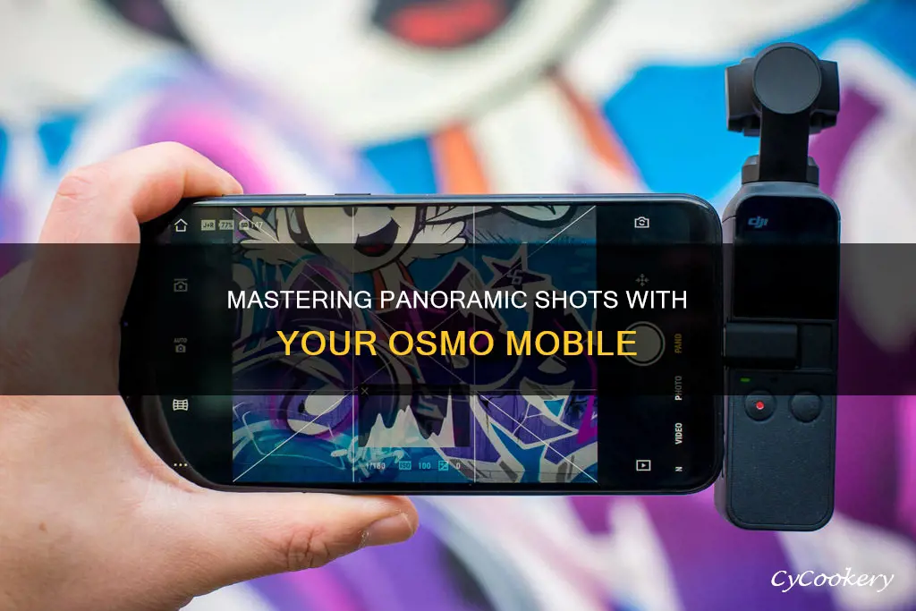 how do I take a pano with osmo mobile