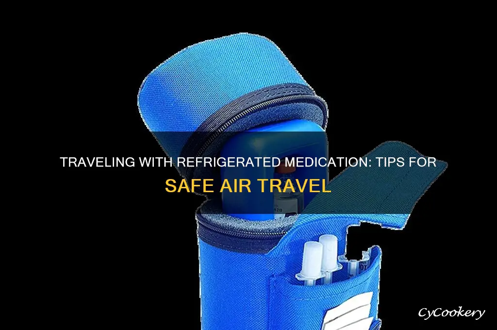 how do i take refrigerated medication on a plane