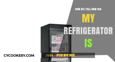 How to Determine Your Refrigerator's Age: A Simple Guide