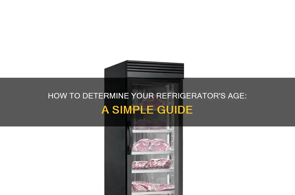 how do i tell how old my refrigerator is