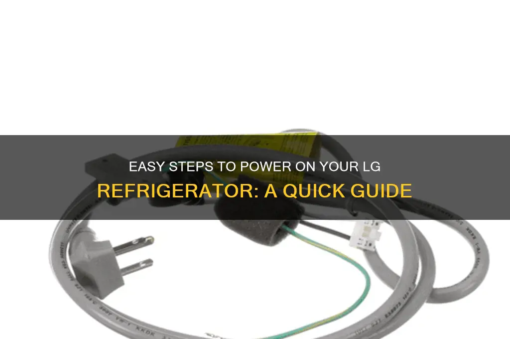 how do i turn on my lg refrigerator