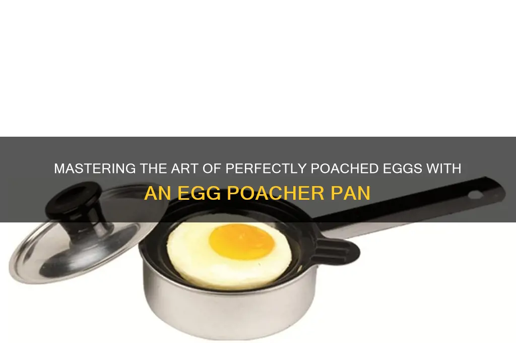 how do I use an egg poacher pan