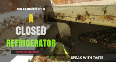 Uninvited Guests: How Maggots Enter Sealed Refrigerators Explained