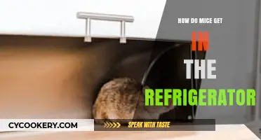 Unwanted Guests: How Mice Sneak into Your Refrigerator and Solutions
