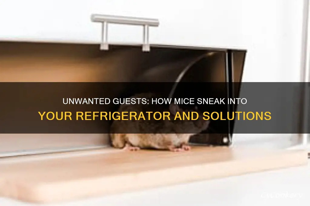 how do mice get in the refrigerator