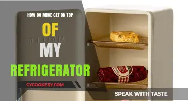 How Mice Climb to the Top of Your Refrigerator