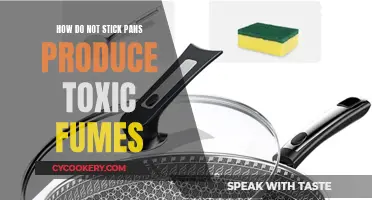 Non-Stick Pans: Toxic Fumes and Health Risks