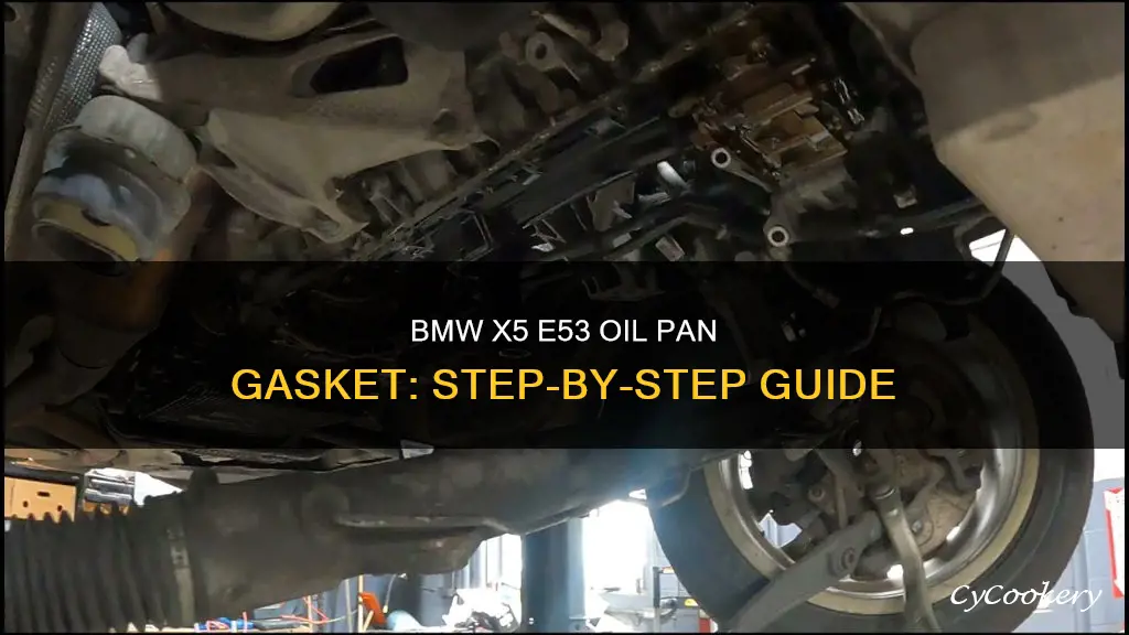 how do oil pan gasket for 2003 bmw x5 e53