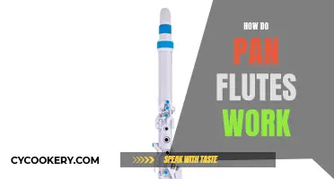 Understanding the Magic of Pan Flute Music