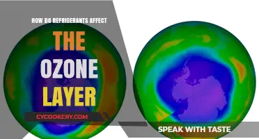 Refrigerants and the Ozone Layer: Understanding Their Impact and Solutions
