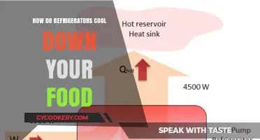 How Refrigerators Work: The Science Behind Cooling Your Food