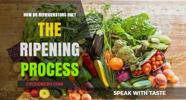 How Refrigerators Slow Down Fruit and Vegetable Ripening Explained