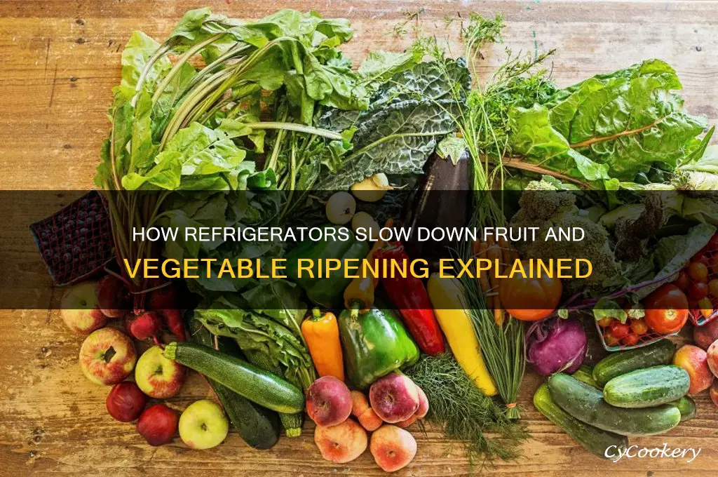 how do refrigerators halt the ripening process
