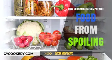 How Refrigerators Keep Food Fresh: The Science Behind Preservation