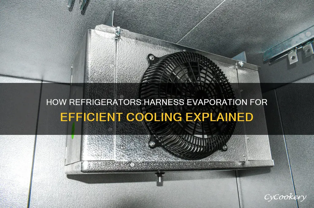 how do refrigerators use evaporation to produce cooling
