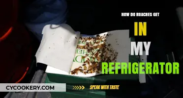 Unwanted Guests: How Roaches Sneak into Your Refrigerator