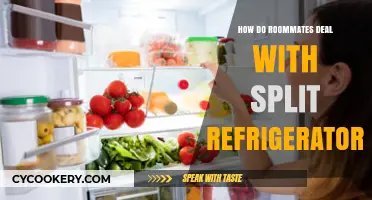 Smart Strategies for Roommates to Organize and Share Fridge Space