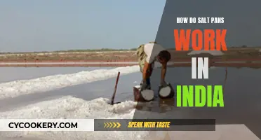 Salt Pans of India: Harvesting Crystals from the Earth
