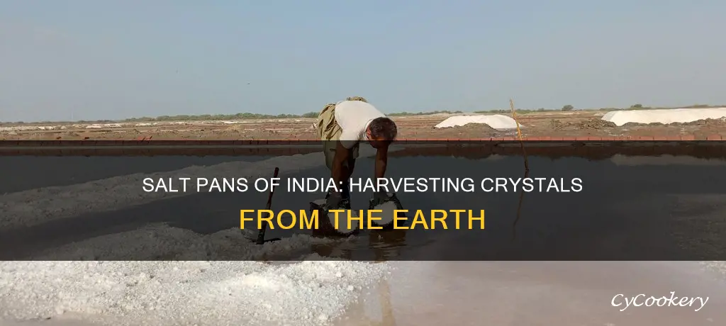 how do salt pans work in india