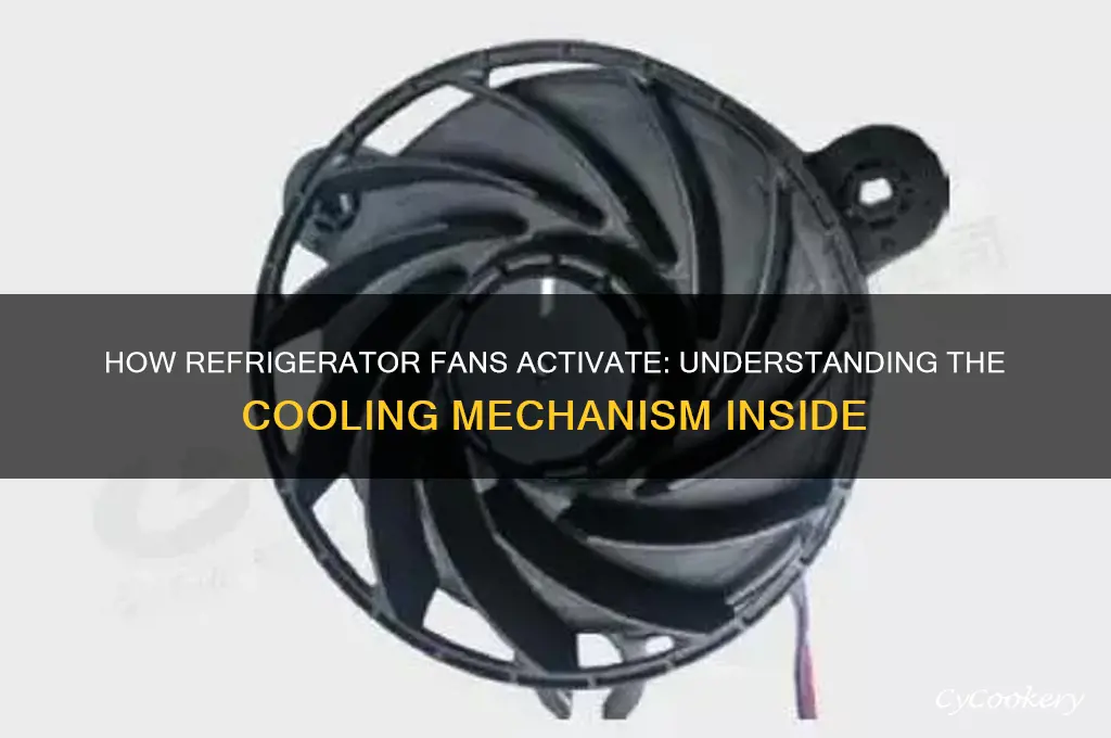 how do the fan turn on in refrigerator
