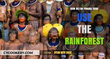 Panara Tribe's Rainforest Wisdom: Sustainable Practices and Cultural Harmony